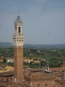 The view from the top of the Duomo in Siena.